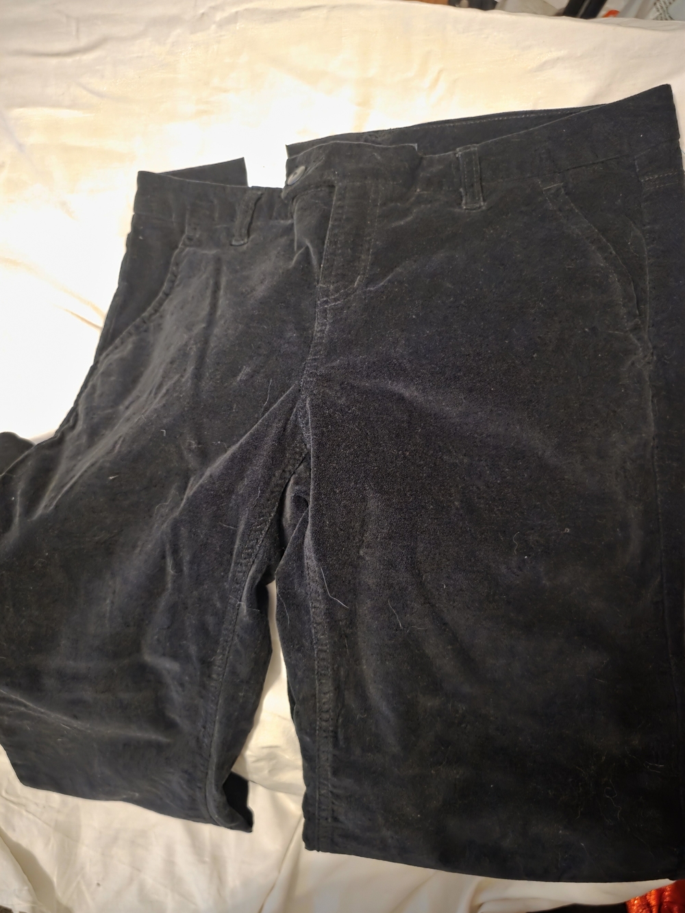 GAP Women's Straight Leg Corduroy/velour Pants in Black